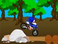 ゲームクロスソニックレースオンライン