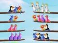 ゲーム鳥のソートパズルオンライン
