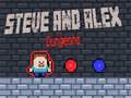 ゲームスティーブとアレックスのダンジョンオンライン