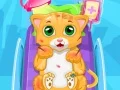 ゲーム小さな猫の医者オンライン