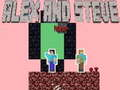 ゲームアレックスとスティーブのネザーオンライン