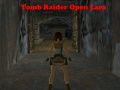 ゲームトゥームレイダー: オープン・ララオンライン
