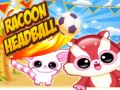 ゲームアライグマのヘッドボールオンライン