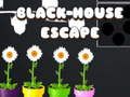 ゲームブラックハウスからの脱出オンライン