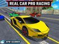 ゲームリアルカー・プロレースオンライン