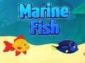 ゲーム海の魚オンライン