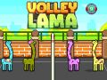ゲームバレーボーイ ラマオンライン
