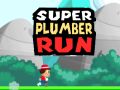 ゲームスーパープランバーランオンライン