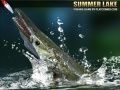 ゲーム夏の湖オンライン