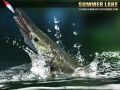 ゲームサマー湖 1.5オンライン