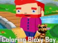 ゲームカラーリング・ブロクシー・ボーイオンライン