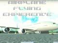ゲーム飛行機のフライト体験オンライン