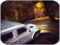 ゲーム恐ろしい車運転シミュレーターオンライン
