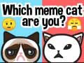 ゲームあなたはどのミーム猫ですか？オンライン