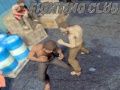 ゲームファイティングクラブオンライン