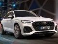 ゲームアウディ SQ5 TDI スライドオンライン