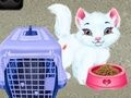 ゲームベイビー・テイラーのペットケアオンライン