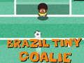 ゲームブラジルの小さなゴールキーパーオンライン ゲームブラジルの小さなゴールキーパーオンライン