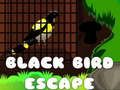 ゲームブラックバードエスケープオンライン