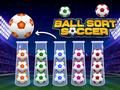 ゲームボールソートサッカーオンライン