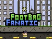 ゲームフットバッグファナティックオンライン