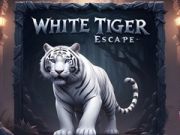 ゲームホワイトタイガーの脱出オンライン