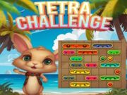 ゲームテトラチャレンジオンライン