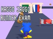 ゲームハッゴ・ジャッゴ・ランナー試験オンライン