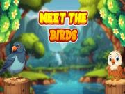 ゲーム鳥たちに会いましょうオンライン