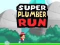 ゲームスーパープランバーランオンライン
