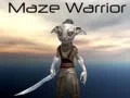 ゲーム迷路の戦士オンライン