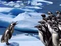 ゲームペンギンスライドオンライン