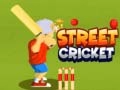 ゲームストリートクリケットオンライン