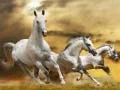 ゲーム走る馬のスライドオンライン