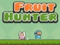 ゲームフルーツハンターオンライン