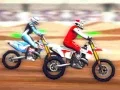 ゲームスーパーマックスニューレースオンライン