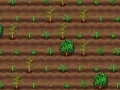 ゲームお茶作りオンライン