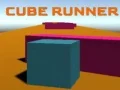 ゲームキューブランナーオンライン