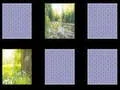 ゲーム自然の記憶オンライン