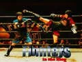 ゲームリングの戦士たちオンライン ゲームリングの戦士たちオンライン