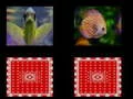 ゲーム魚の記憶オンライン