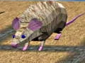 ゲームマウスレースアイランドオンライン