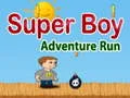 ゲームスーパーボーイアドベンチャーランオンライン