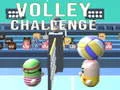 ゲームバレーチャレンジオンライン