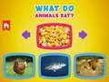 ゲーム動物は何を食べますか?オンライン ゲーム動物は何を食べますか?オンライン