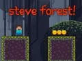 ゲームスティーブの森オンライン
