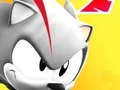 ゲームソニック・サブウェイ・スーパラッシュオンライン