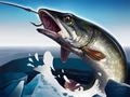 ゲームアイスフィッシング 3Dオンライン