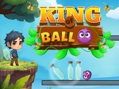 ゲームボールの王オンライン