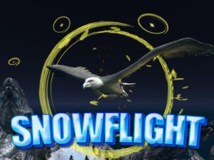 ゲーム雪の光オンライン